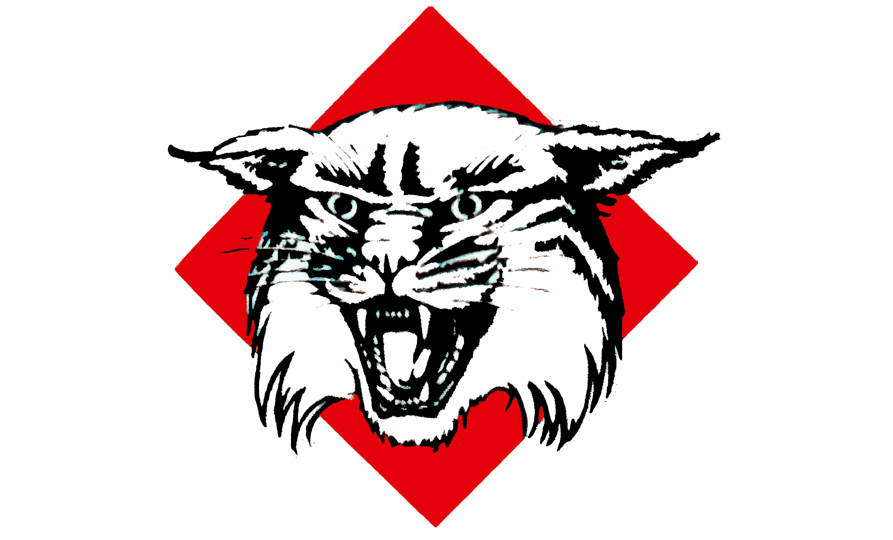 Davidson Sports Logo from 1985